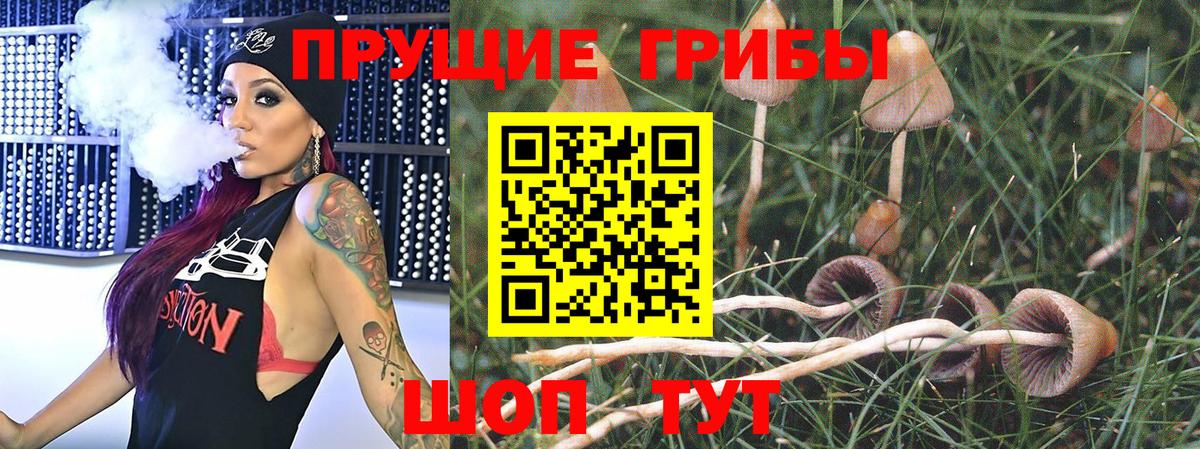 Сатка  Галлюциногенные грибы мухоморы  Вход с VPN 