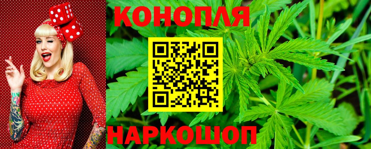 Бошки Шишки White Widow  Конопля сатива  Сатка  Бошки марихуана марихуана  Бошки Шишки THC 21%  Вход с VPN 