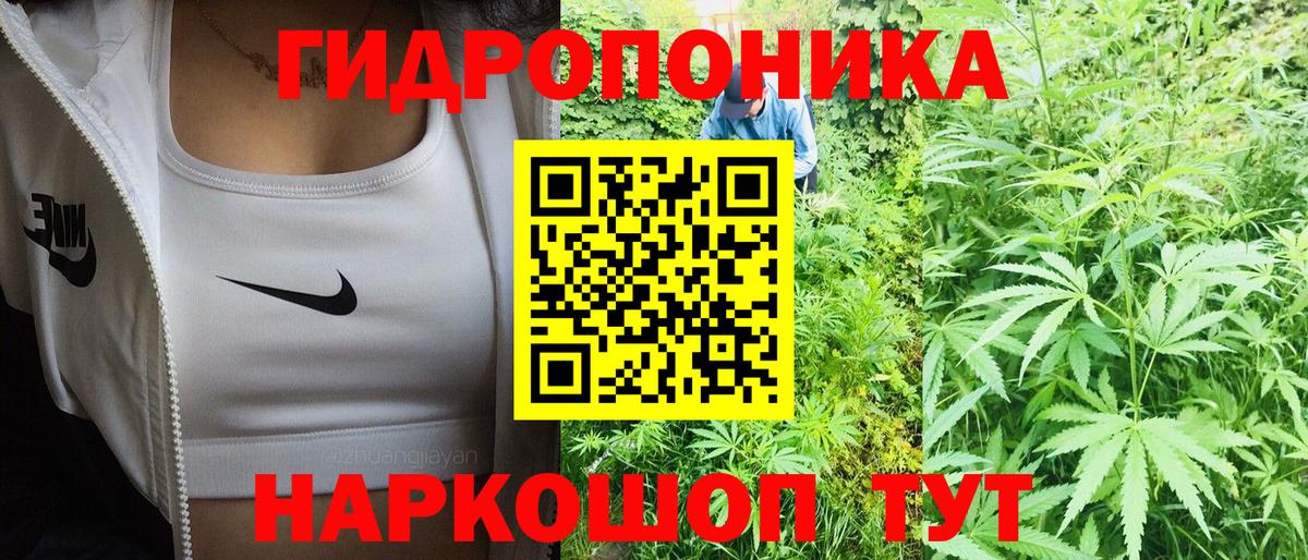 Бошки марихуана конопля Сатка